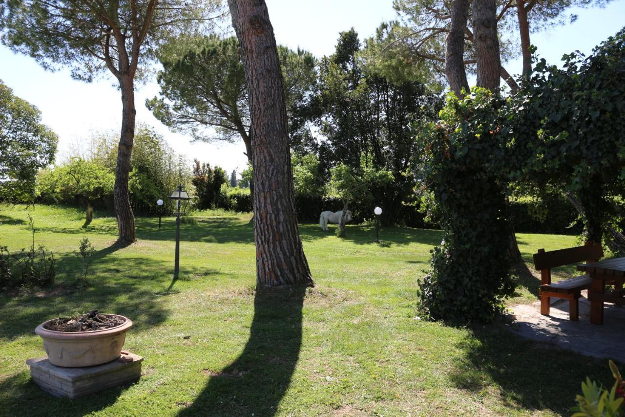 Podere San Paolo San Giuliano Terme Kültér fotó